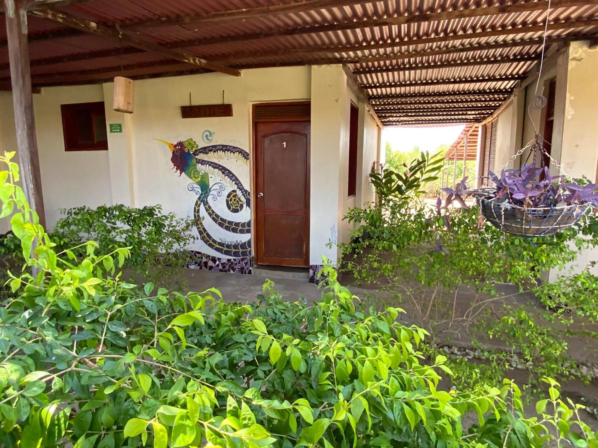 Coccoloba Beach Hostel Dibulla Exterior foto